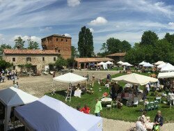 frutti-antichi-fiori-rassegna-castello-paderna-15 frutti-antichi-fiori-rassegna-castello-paderna-15