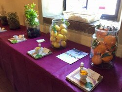 frutti-antichi-fiori-rassegna-castello-paderna-27 frutti-antichi-fiori-rassegna-castello-paderna-27